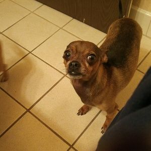 Meet your Posher, Gina